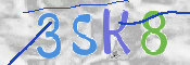 キャプチャ画像