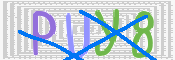 キャプチャ画像